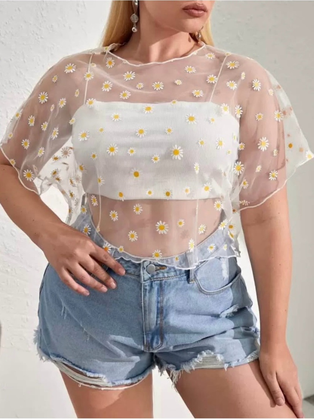 Sheer Daisy Embroidered Crop Top